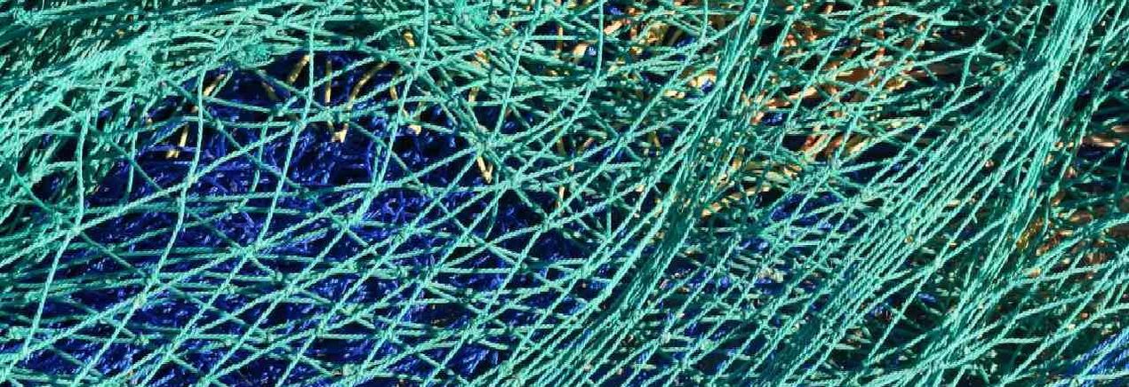 The Rise of Renewable Synthetics